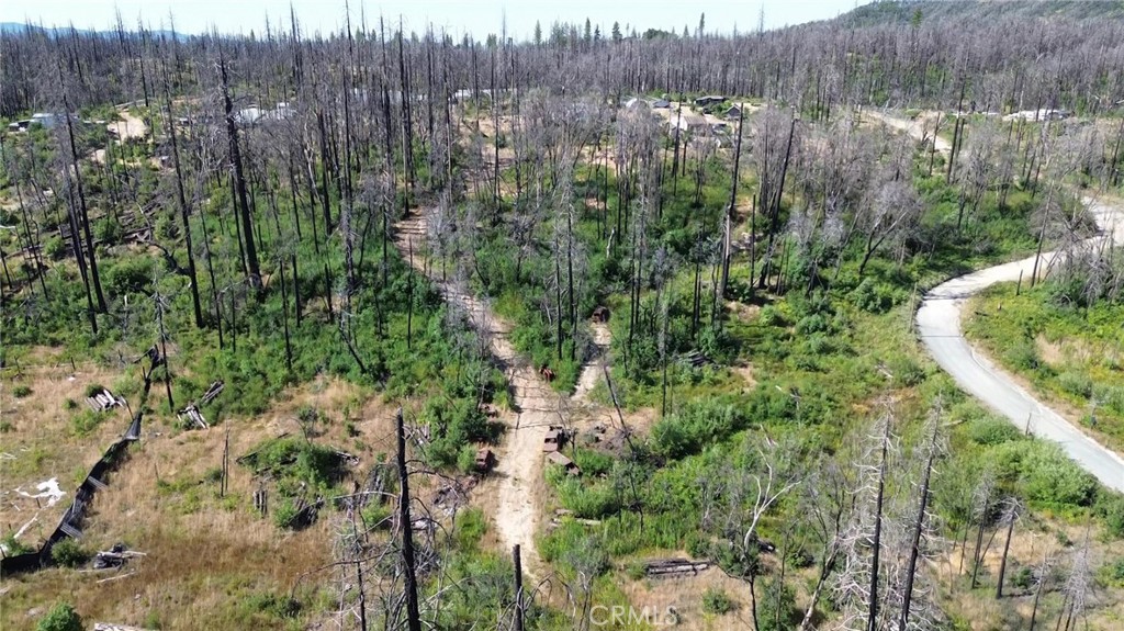 This nearly 2-acre property in Berry Creek offers exceptional privacy just off Bald Rock Road. Whether you dream of building a cozy cabin or setting up a serene campsite, this property offers endless possibilities. Although affected by the Complex Fire, the land stands as a blank canvas ready for your unique touch. Don’t miss the chance to create your personal haven in this beautiful, resilient landscape.