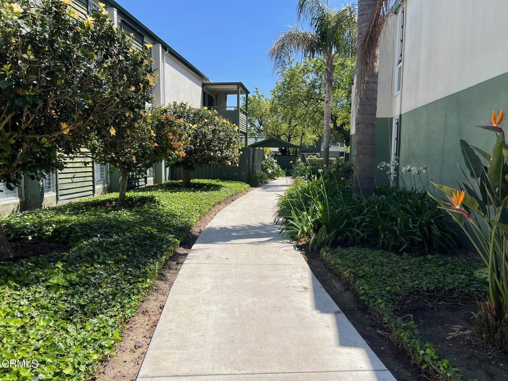 Buenaventura Gardens - 2809 - Residential