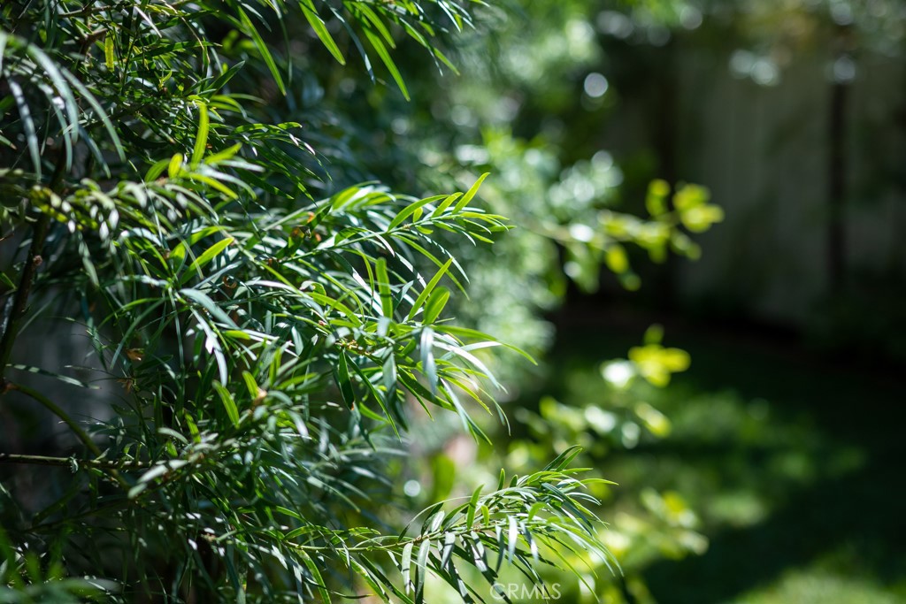 Sycamore Glen (SG) - Residential Lease