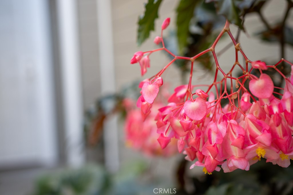 Sycamore Glen (SG) - Residential Lease