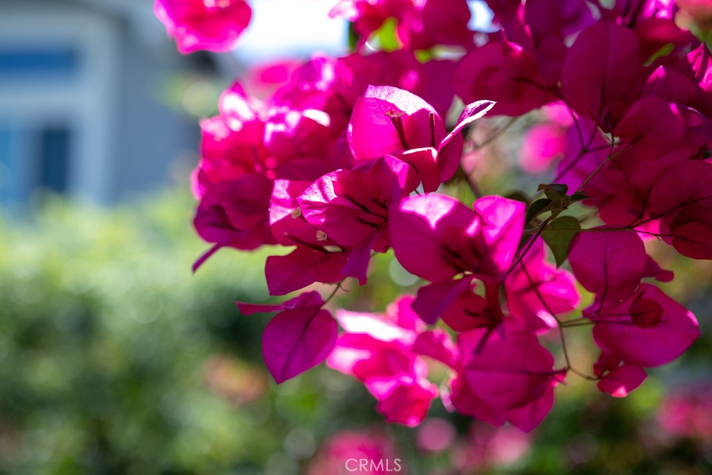 Sycamore Glen (SG) - Residential Lease