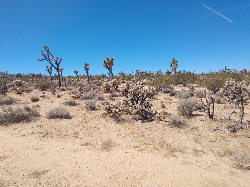 PRICE CORRECTION!!! SELLER MOTIVATED!! Buildable Flat land. 1.25 acres close to all types of shopping. Power and water in the street. Beautiful 360 views and near National park. Build your dream home! Owner carry available! Zoning allows for up to 2 residential buildings per acre. Live in one and rent the other.