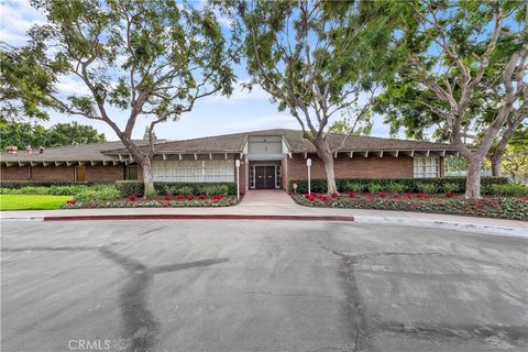 A home in Laguna Hills