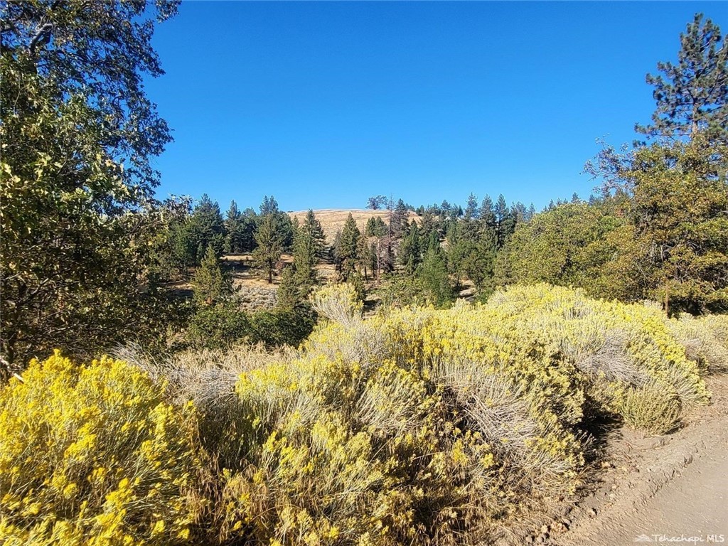 This serene property offers the perfect opportunity to create your own peaceful getaway. Surrounded by towering trees and breathtaking views, you'll feel a world away from the stresses of everyday life yet close enough to be accessible!
With over 2.5 acres of land, there's plenty of room to build your dream retreat, whether it be a cozy cabin, a spacious family home, or a tranquil vacation home!
Located in Alpine Forest, you'll have easy access to outdoor activities such as hiking, biking, and horseback riding. And with only a 2 1/2 hour drive to the beach and just 20 minutes to Tehachapi City, you'll have the best of both worlds - the peaceful seclusion of the woods and the convenience of nearby amenities.
Don't miss out on this incredible opportunity to own your own piece of paradise in Alpine Forest. Start planning your escape to nature today! Adjacent lot listed for sale as well. (Grindelwald)
Buyer to verify utilities.