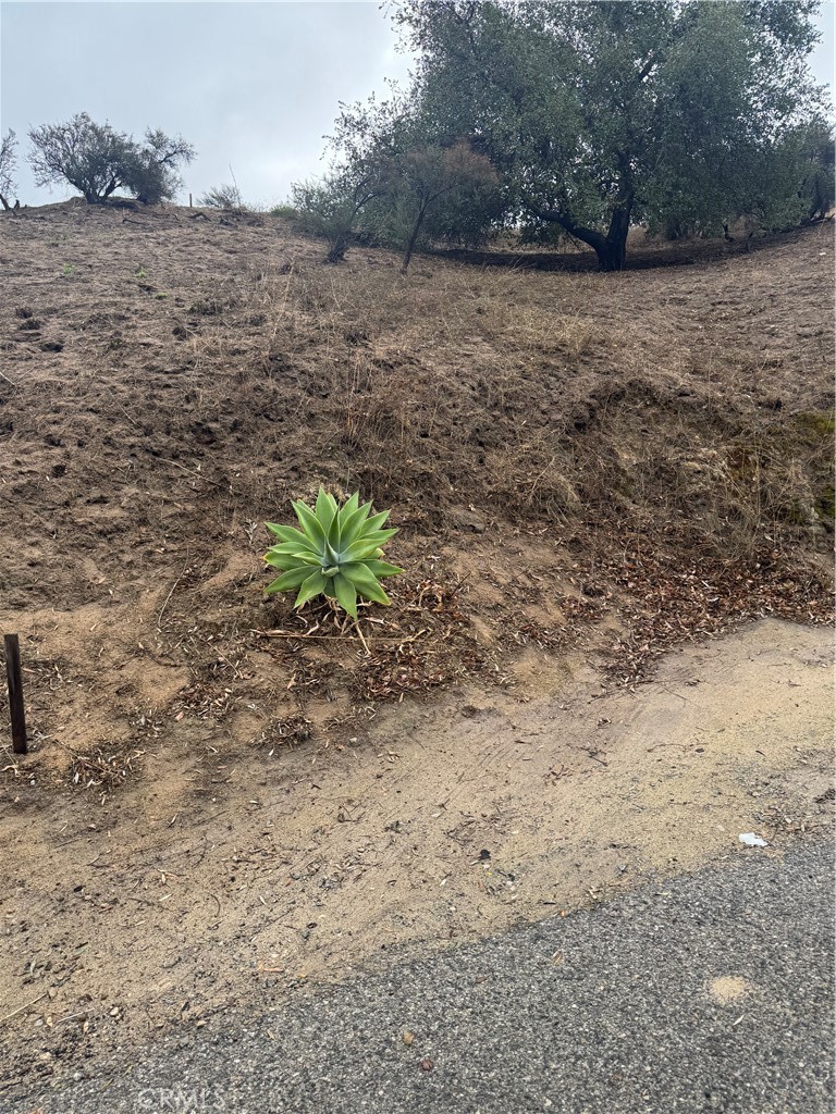 Here's your chance to build your dream house on top of the beautiful Tujunga hills surrounded by nature and amazing views. The rear of the lot offers a gentle slope where you can enjoy the serenity and beautiful scenery of the surrounding Hills and mountains. Neighbors are already building houses surrounding it and you will be next. Located on a paved road with utilities available nearby. Live among nature and yet a short distance from foothill Blvd,and minutes from 210 Freeway, LA Cañada Flintridge, Downtown,Burbank,Pasadena ,Glendale, Angeles Crest Hwy and hiking trails in the mountains.