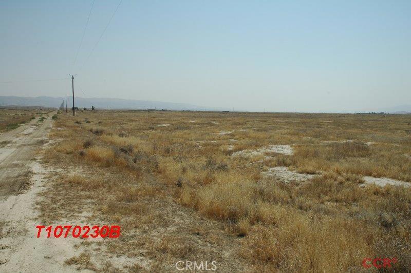 Carrizo Plains/California Valley(62) - Land