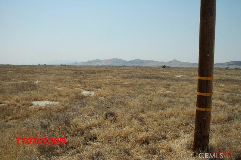 Carrizo Plains/California Valley(62) - Land