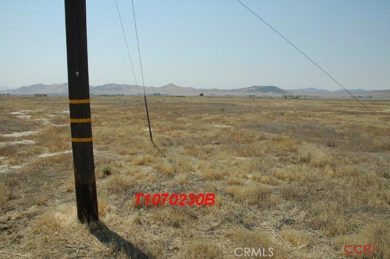 Carrizo Plains/California Valley(62) - Land