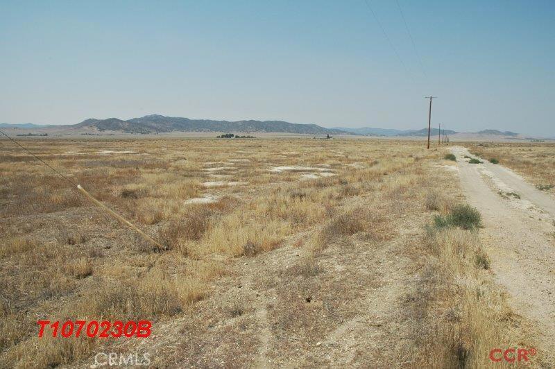 Carrizo Plains/California Valley(62) - Land