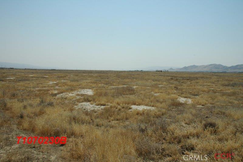 Carrizo Plains/California Valley(62) - Land