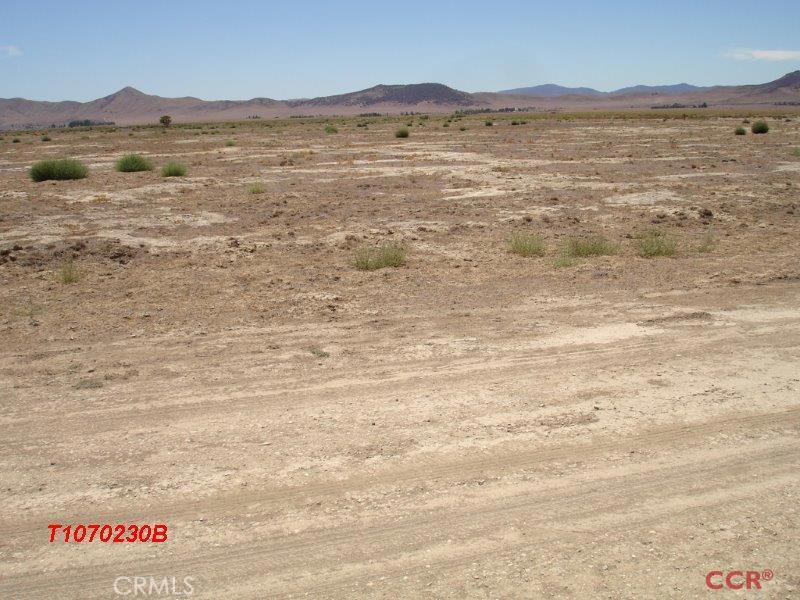 Carrizo Plains/California Valley(62) - Land