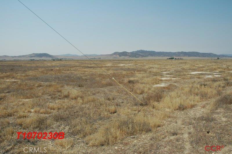 Carrizo Plains/California Valley(62) - Land