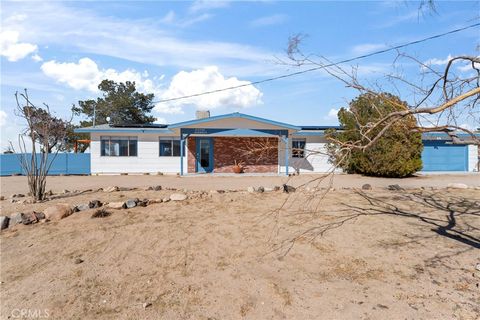 A home in Joshua Tree