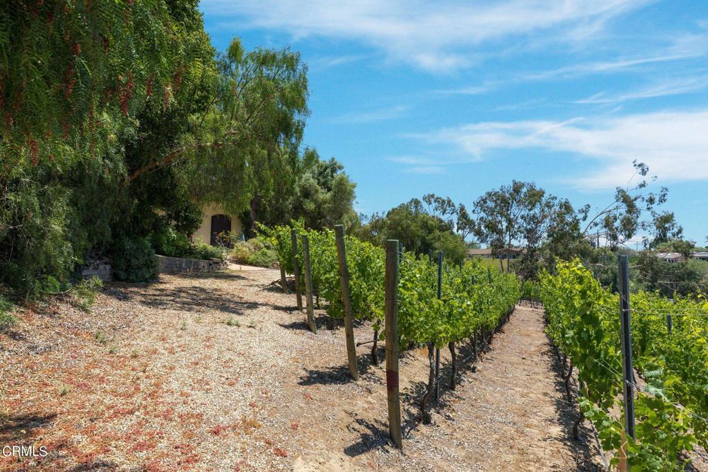 Las Posas Estates - 5249 - Residential