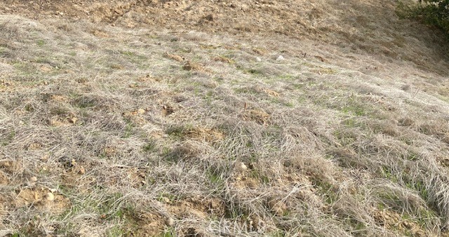 Great investment opportunity. Zoning LCA22, Tract number 4837. Nice size lot. 19.62 acres.