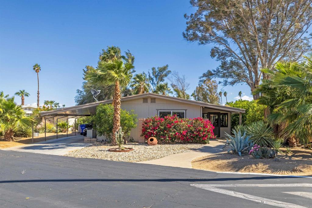 1010 Palm Canyon Dr #151