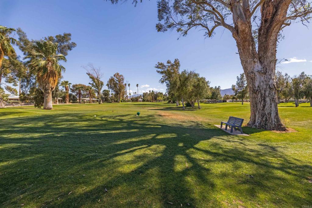 1010 Palm Canyon Dr #151