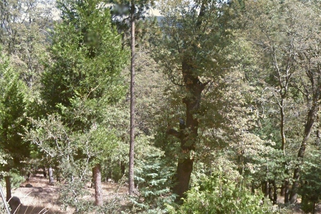 Welcome to this beautiful GEM Lot#40 available in the ever-growing area of located in the City of Cedarpines Park, CA. APN#0342-263-40-0000, Perfect to build get away cabin to escape the grind, fast paced life of the city, Enjoy the spectacular views of mountain scenery., Seller will consider financing with 50% down for 1 year. APN 0342-263-40-0000, Google Maps coordinates: 34.247833, -117.322222, located behind property address: (323 Fir St, Cedarpines Park, CA 92322). Buyers and agents must verify utilities, buildability, zoning, land usage, and exact property boundaries.