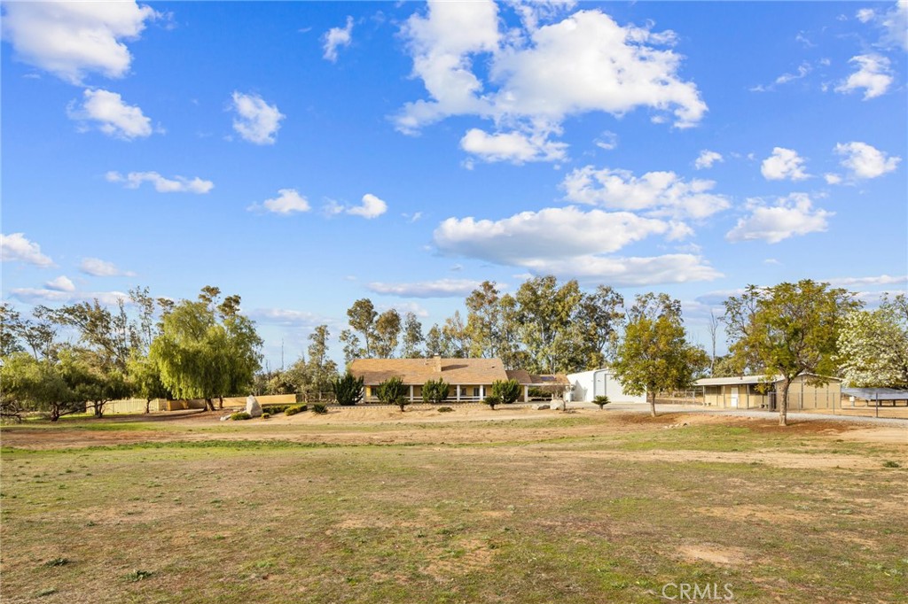 16710 Chocolate Lily Lane