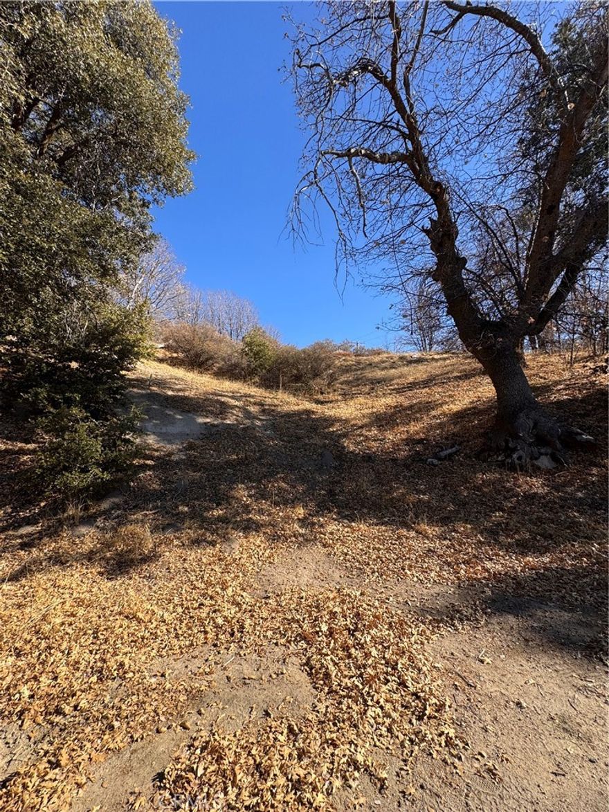 Discover your dream property in the serene beauty of Cedar Glen! This stunning parcel of land offers breathtaking panoramic views that inspire peace and creativity, making it the perfect canvas for your vision. Whether you’re dreaming of a cozy mountain retreat or a modern hillside getaway, this property is build-ready with power lines conveniently nearby for seamless development. Located just a short drive from Lake Arrowhead, you’ll enjoy the charm of a close-knit community, outdoor adventures, and a tranquil setting. This land is an exceptional opportunity for investors, builders, or anyone seeking their slice of paradise. Don’t miss your chance to own a piece of Cedar Glen’s natural beauty—where endless possibilities meet unforgettable views.