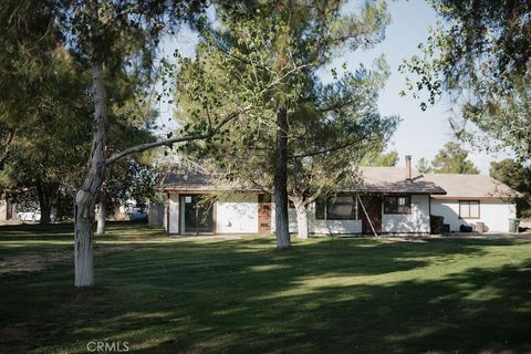 A home in Phelan