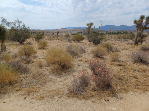 Photo of 0 E Avenue V-12, Pearblossom, CA 93553 (MLS # CV24199498)