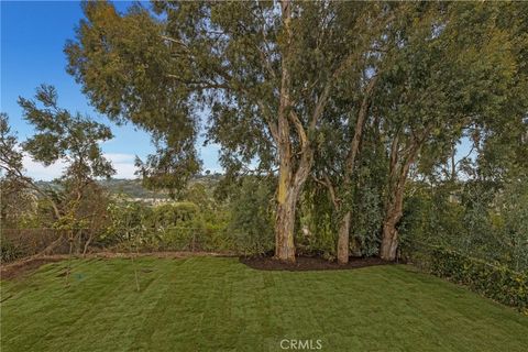 A home in Laguna Niguel