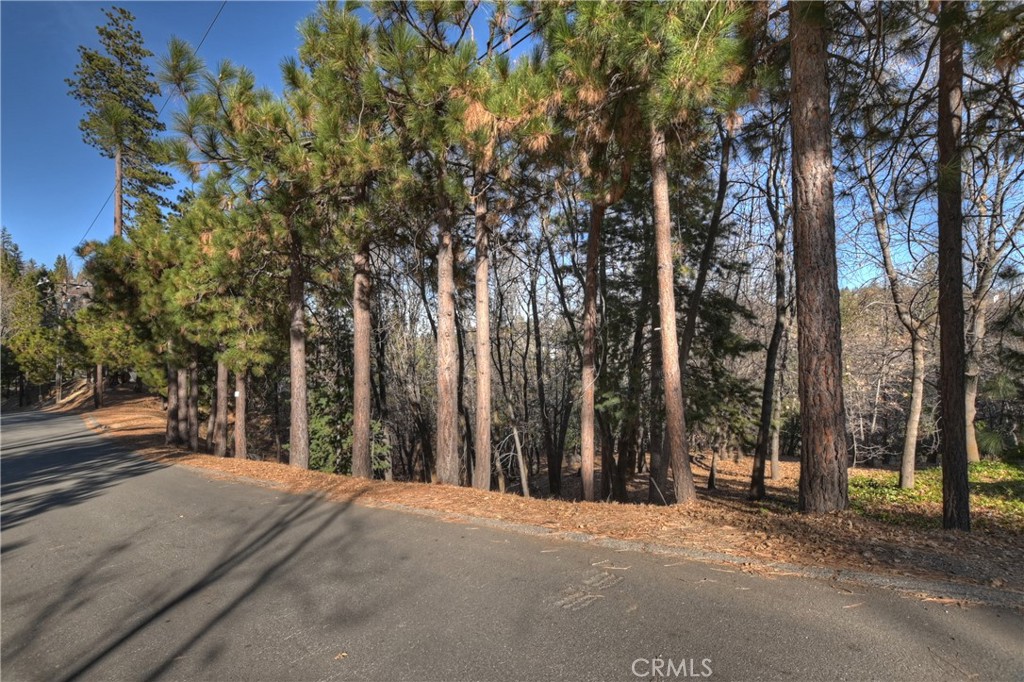 Arrowhead Woods (AWHW) - Land