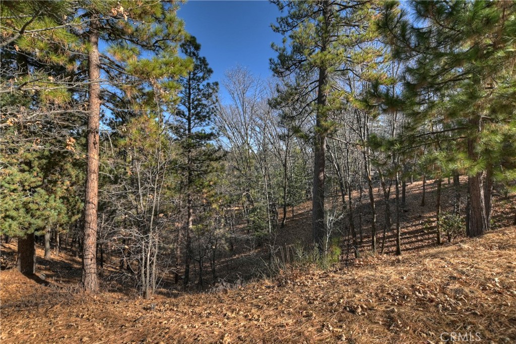 Arrowhead Woods (AWHW) - Land