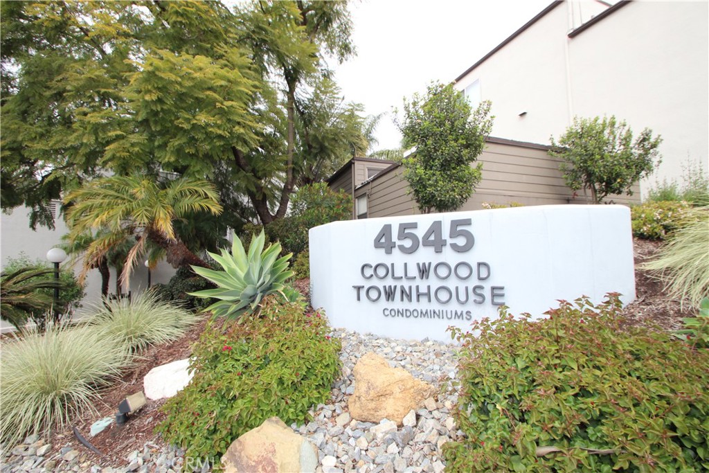 4545 Collwood Boulevard 19