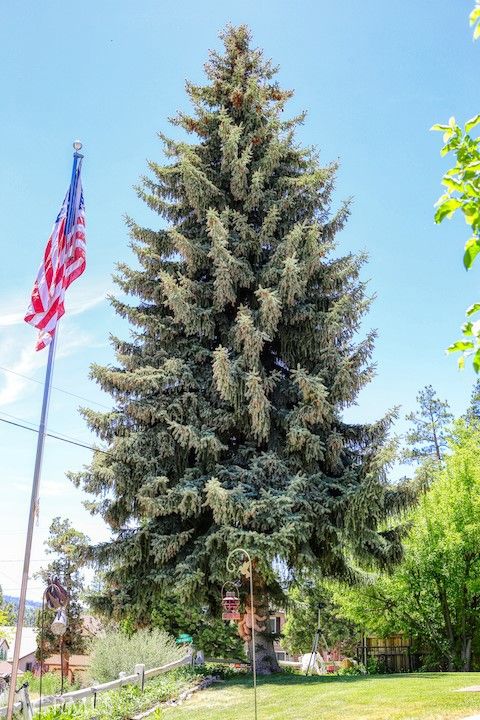 A home in Big Bear City