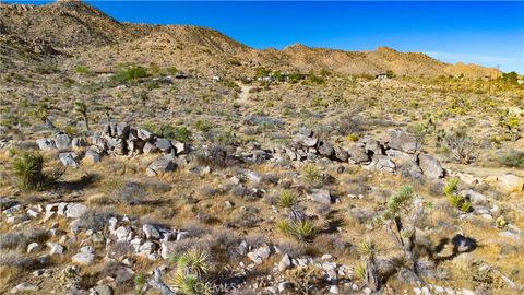 A home in Joshua Tree