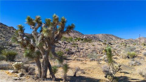 A home in Joshua Tree