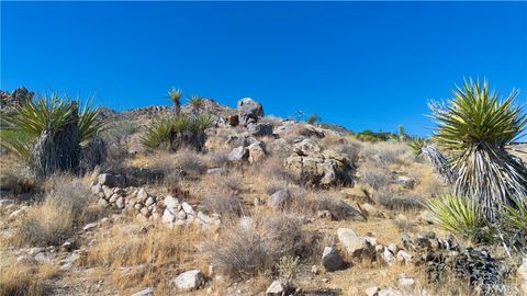 A home in Joshua Tree