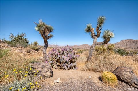 A home in Joshua Tree