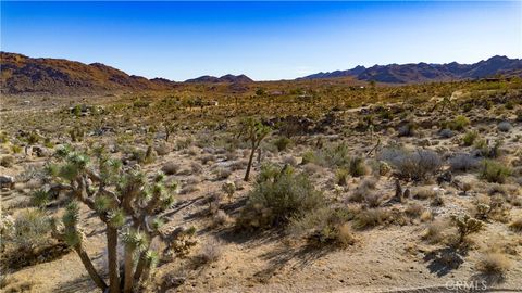 A home in Joshua Tree