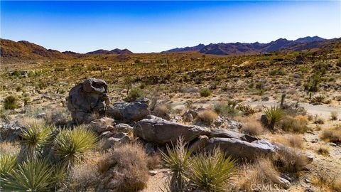 A home in Joshua Tree