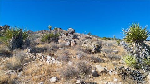 A home in Joshua Tree