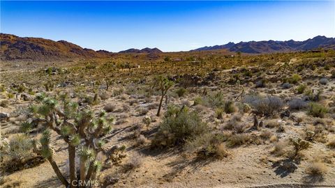 A home in Joshua Tree