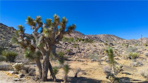 A home in Joshua Tree