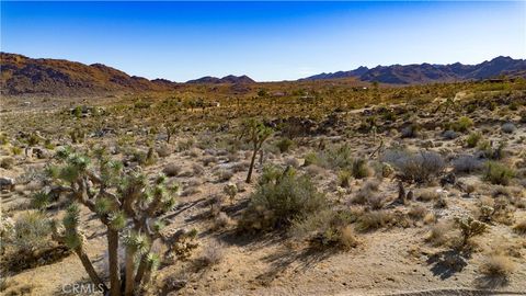 A home in Joshua Tree