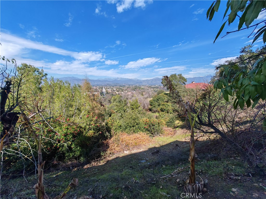 0 Rancho La Floresta Road