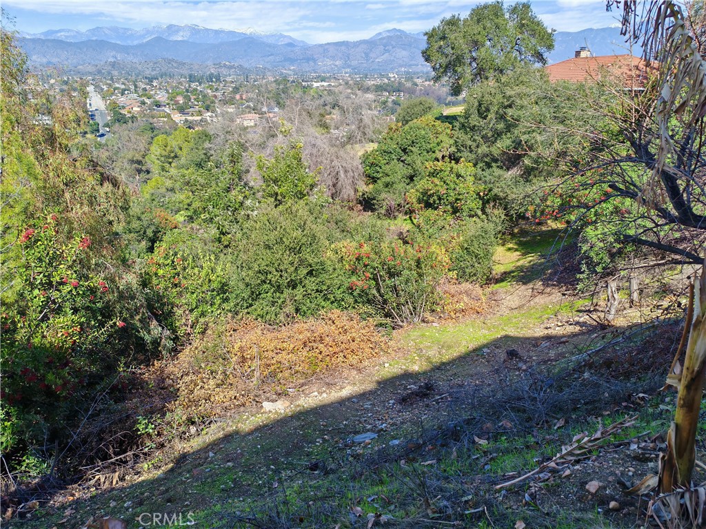 0 Rancho La Floresta Road