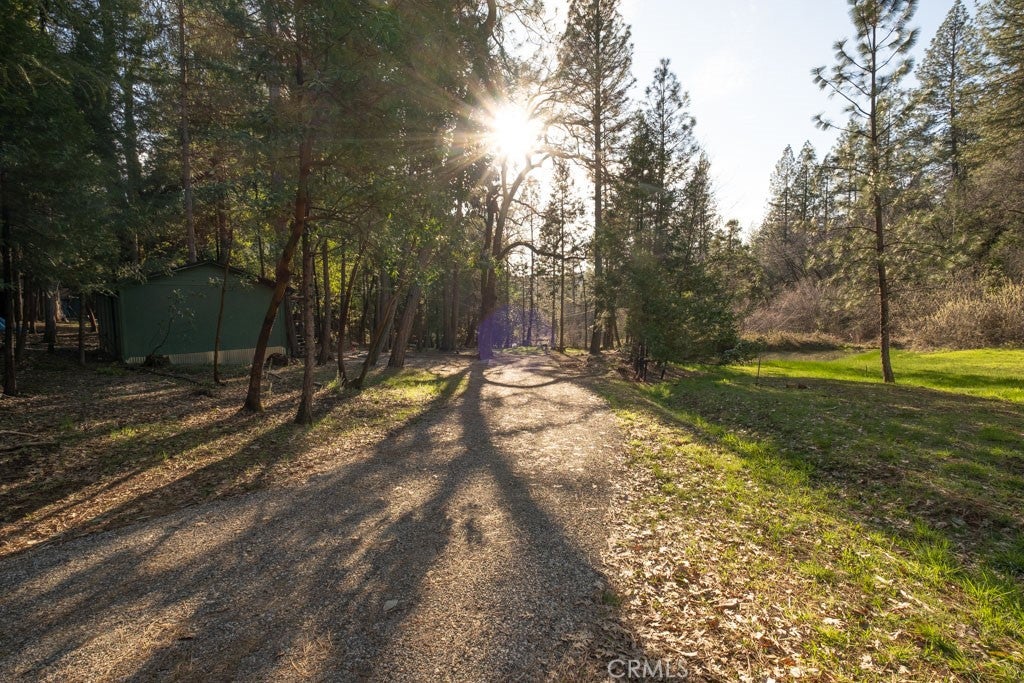 16648 New York House Road