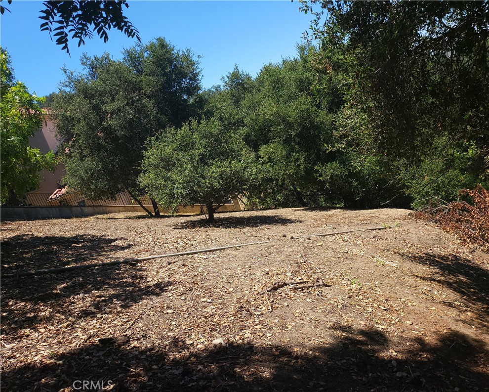 0 Ravine Lane