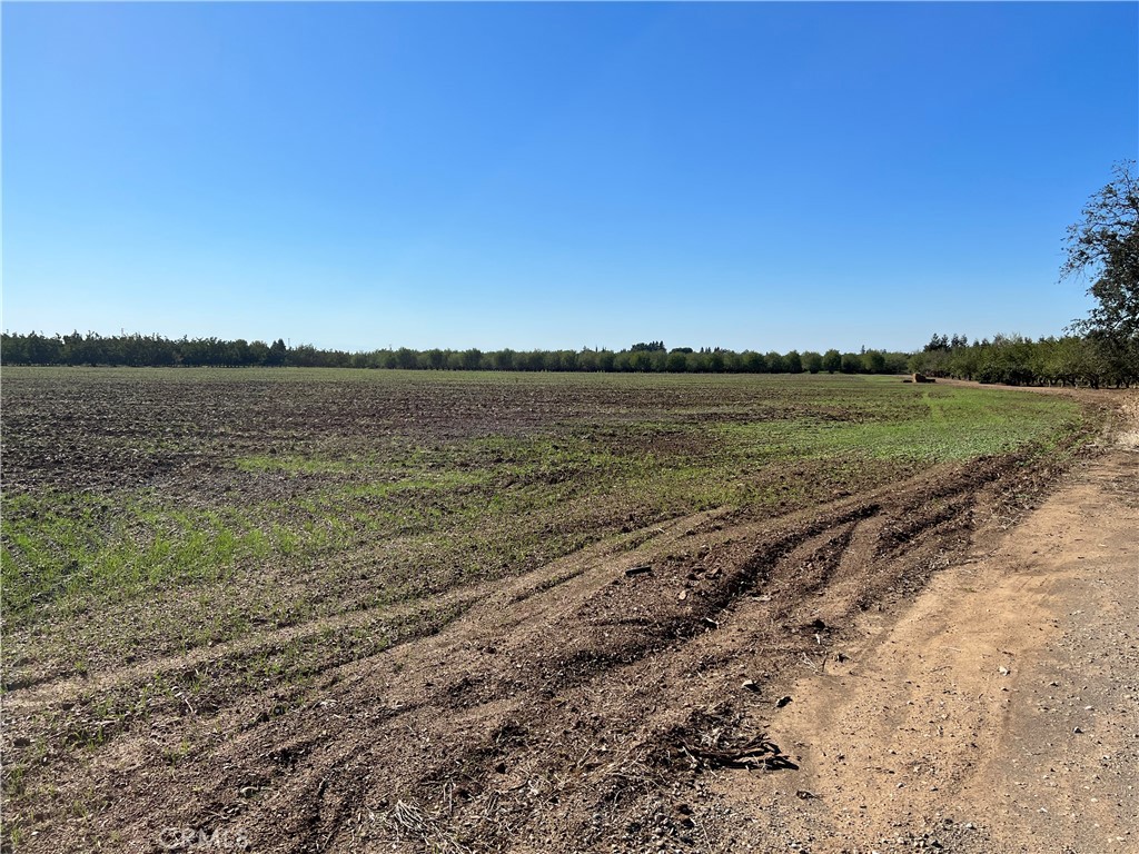 19.88 acres located just outside of Chico with two different zonings. The eastern portion is zoned Agricultural Services (AS) with the balance zoned as A40. The AS zone allows for uses such as Ag equipment sales and rental, light manufacturing, warehousing, and distribution and storage. The property has an existing metal building, and a 3-bedroom two bath residence and barn. The well has a new 5 H.P. submersible pump to irrigate whatever you want to plant on this great soil.