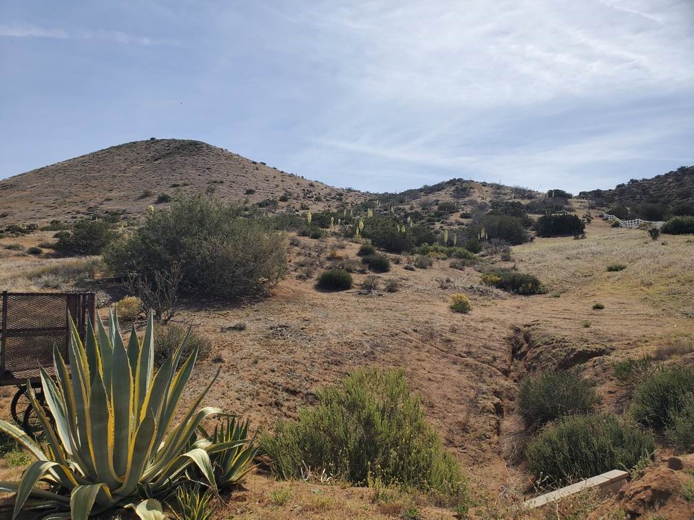 Listing image 8