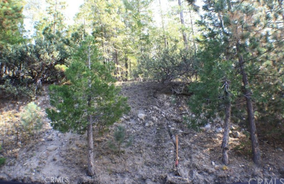 Arrowhead Woods (AWHW) - Land