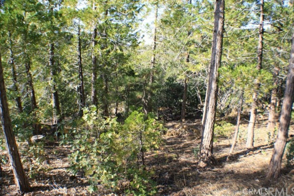 Arrowhead Woods (AWHW) - Land