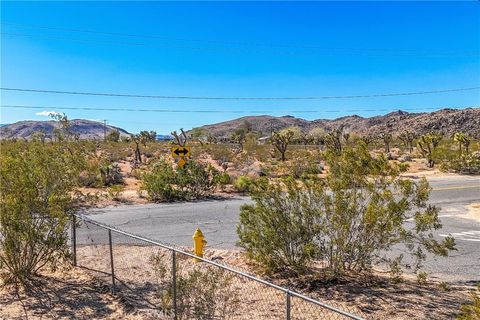 A home in Joshua Tree